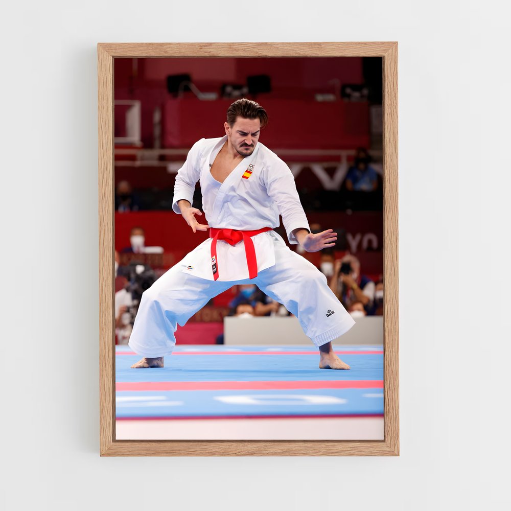 Poster Karateka en Action – affiche Karaté (vue 4)